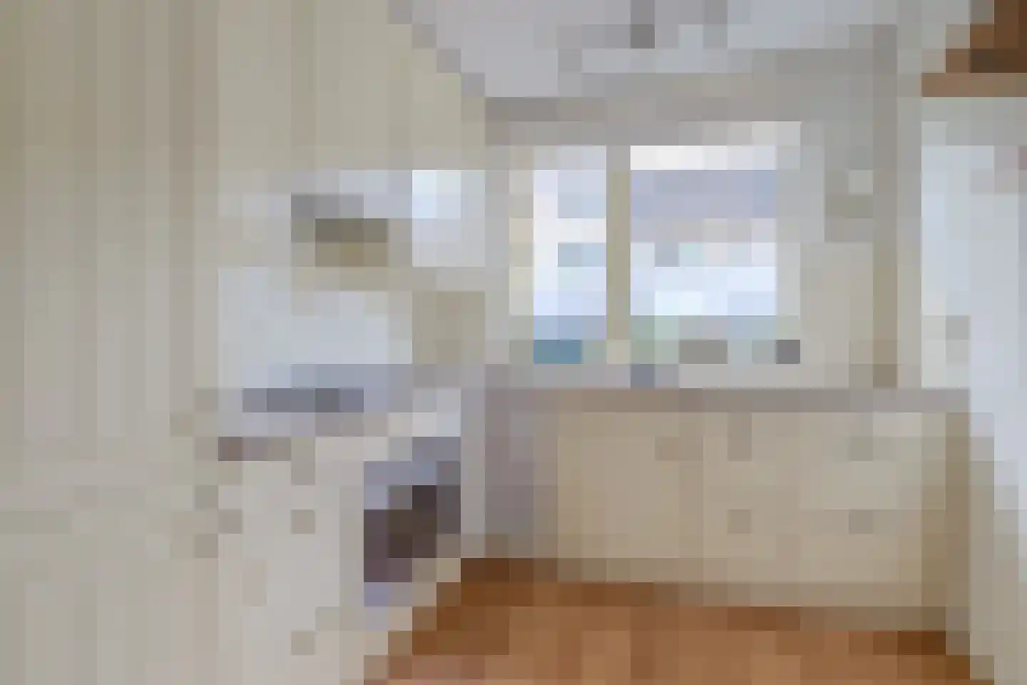 Moleneind 22 Gouda thumbnail 5