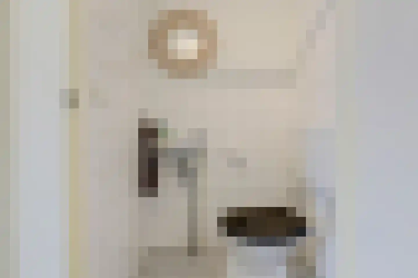 Moleneind 25 Gouda thumbnail 17