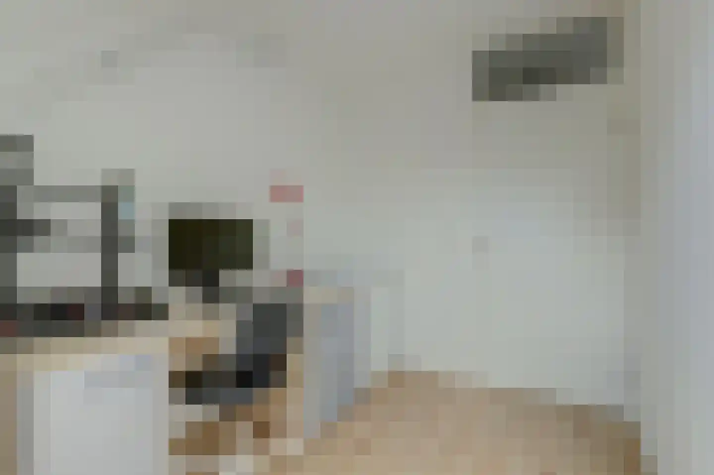 Moleneind 25 Gouda thumbnail 25