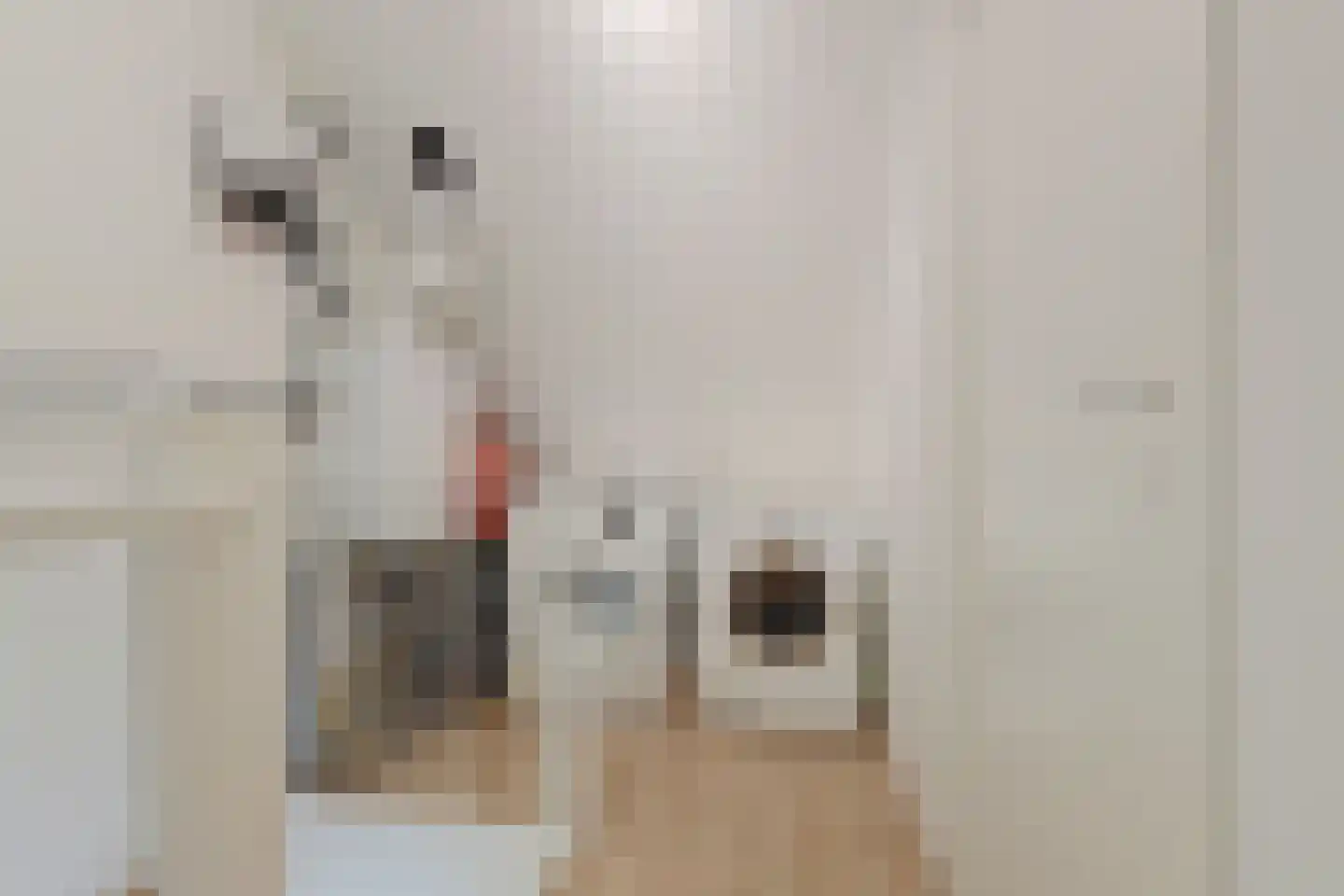 Moleneind 25 Gouda thumbnail 32