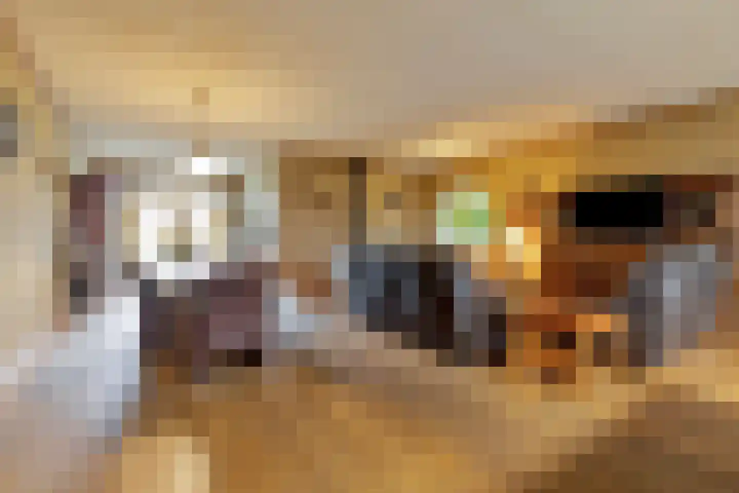Moleneind 3 Chaam thumbnail 11