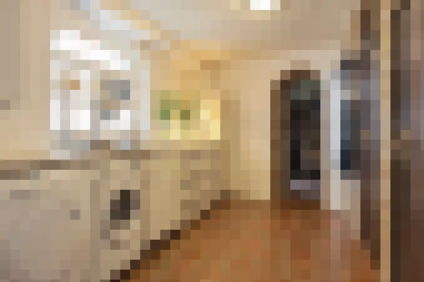 Moleneind 3 Chaam thumbnail 20