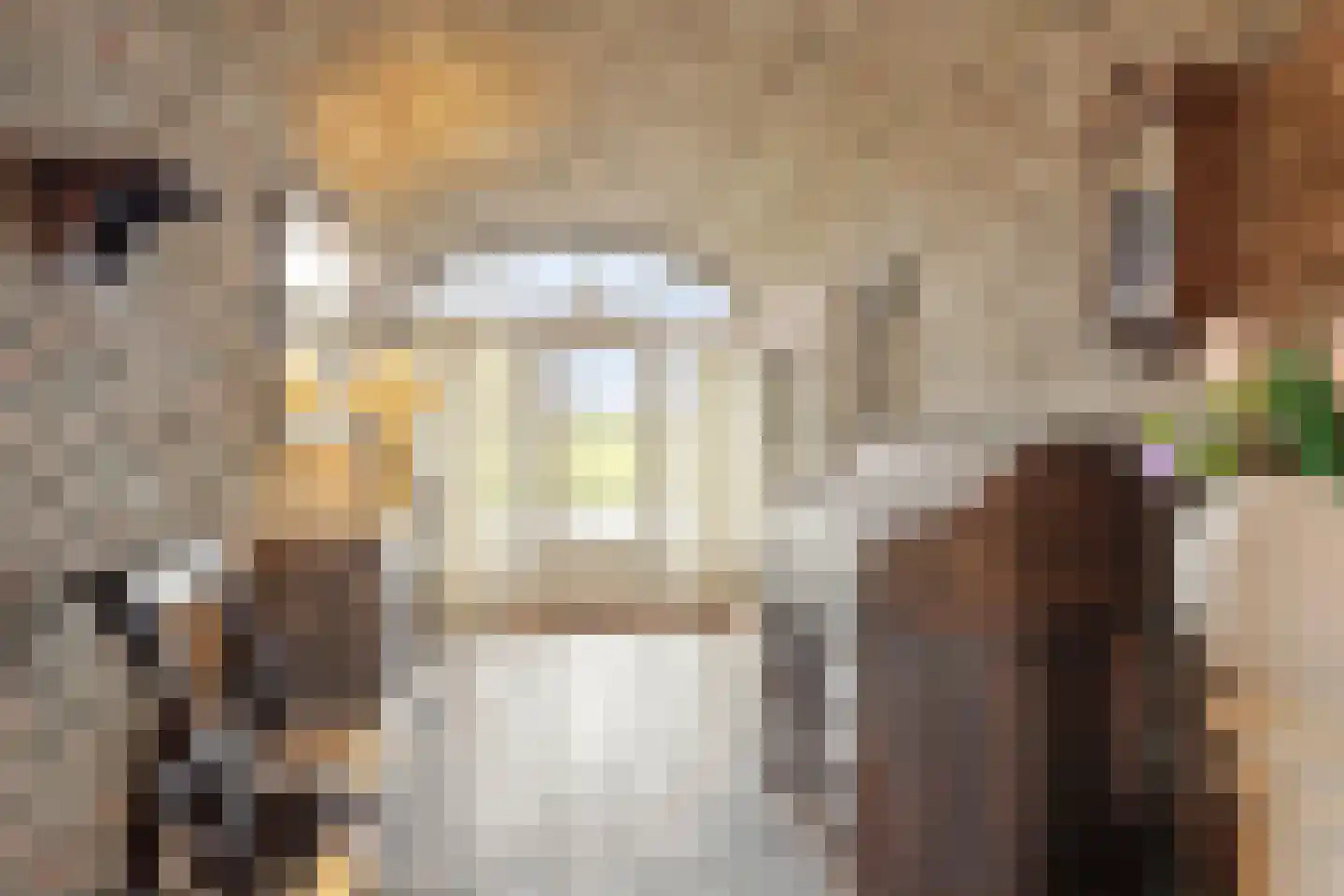 Moleneind 3 Chaam thumbnail 27