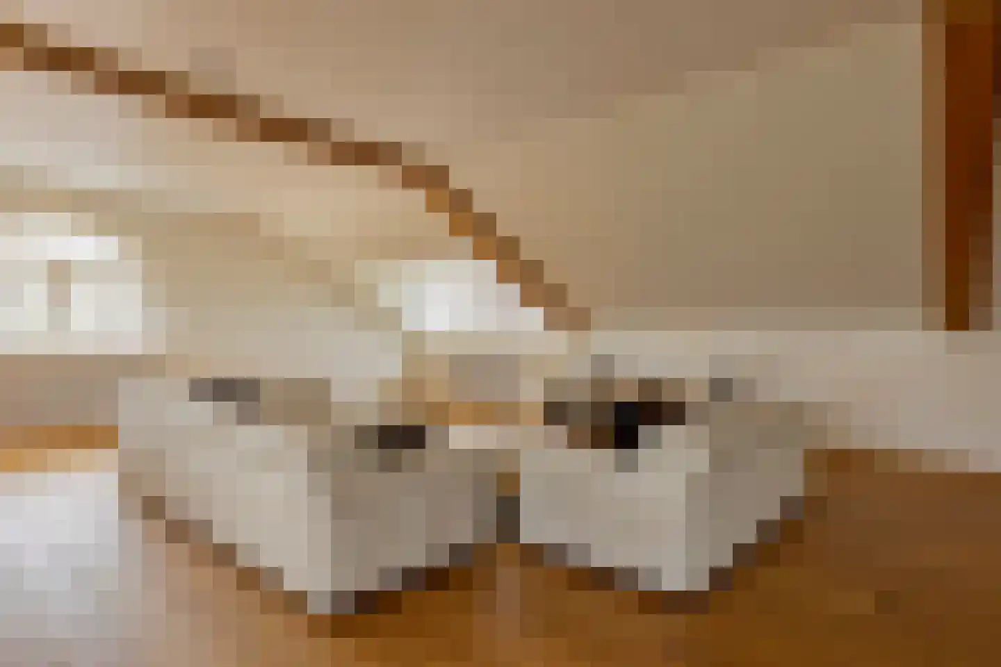 Moleneind 3 Chaam thumbnail 35