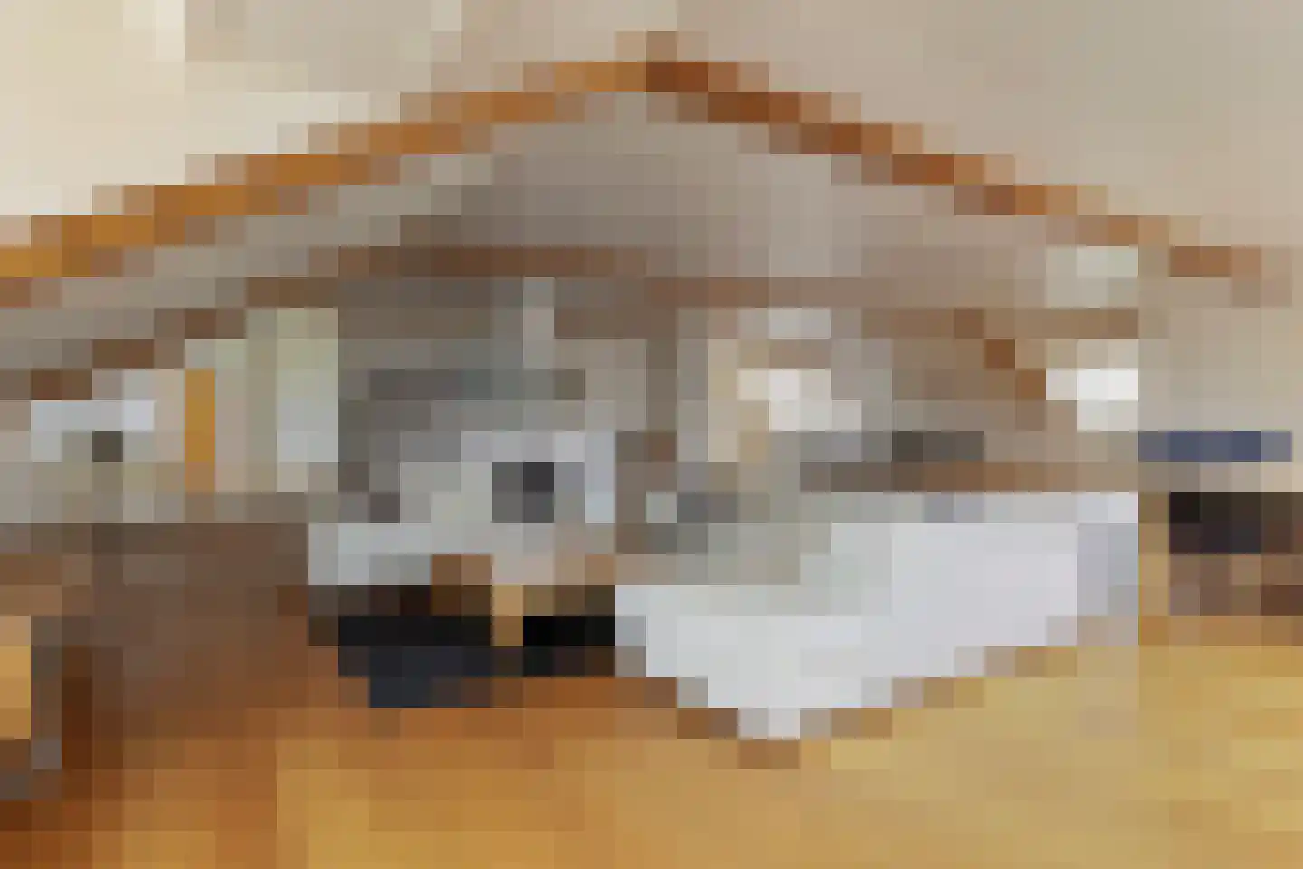 Moleneind 3 Chaam thumbnail 36