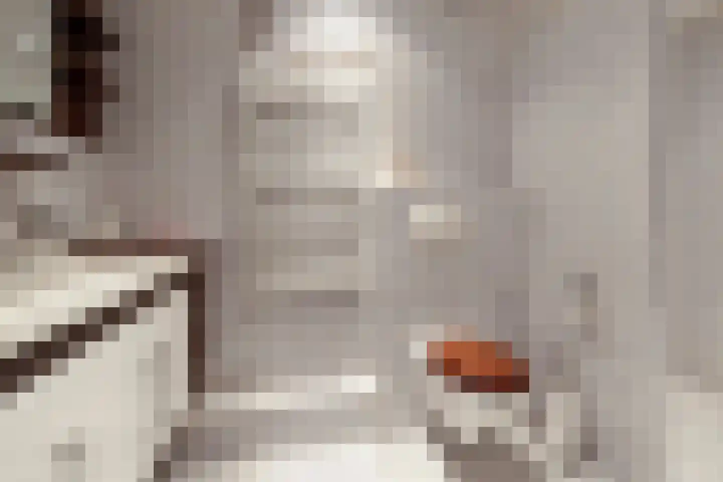 Moleneind 3 Chaam thumbnail 40