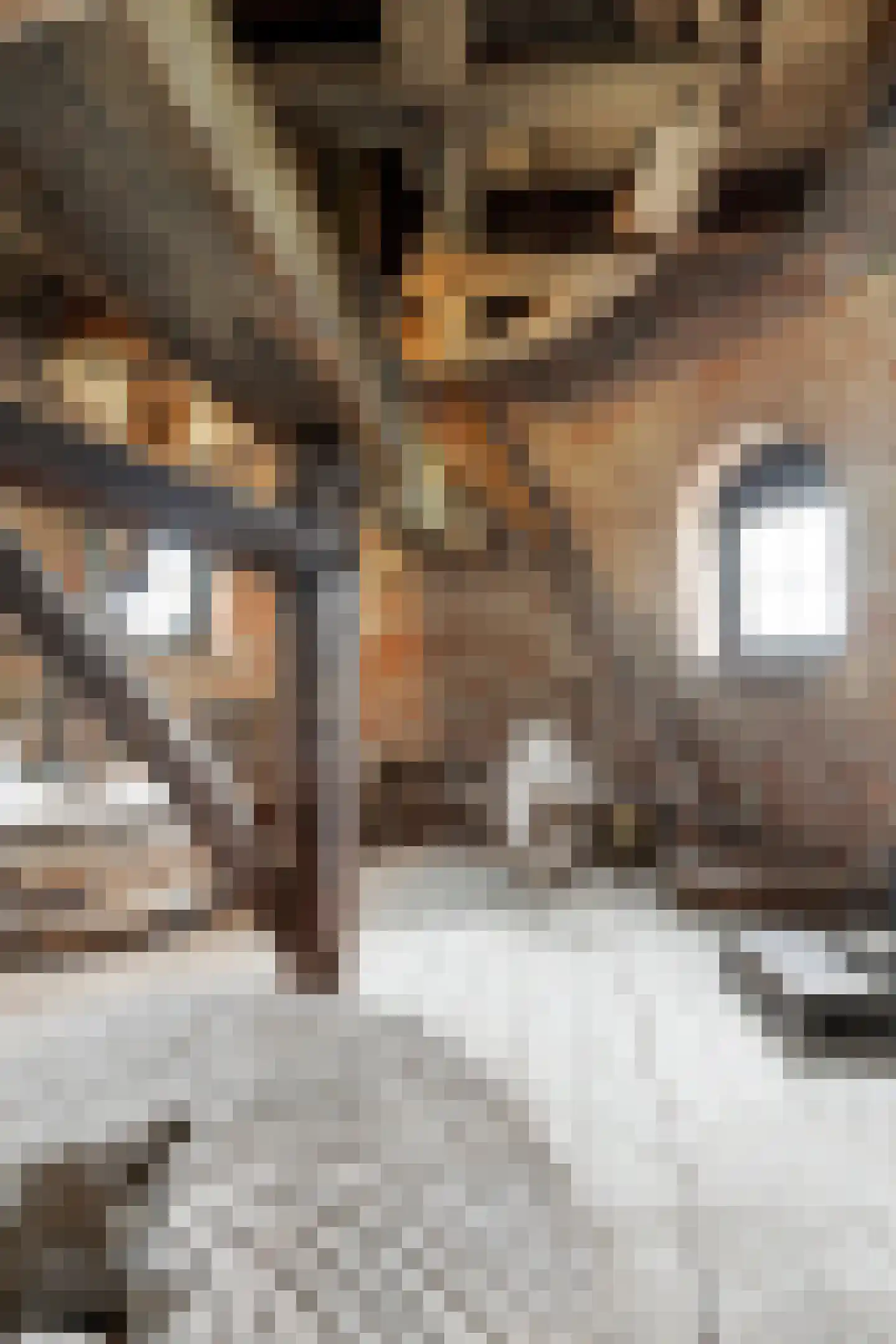 Moleneind 3 Chaam thumbnail 44