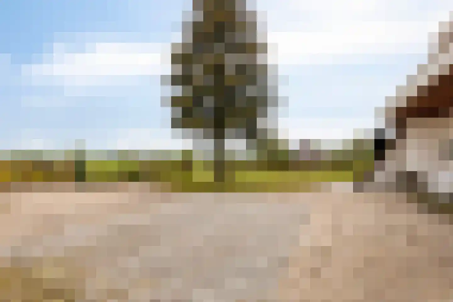 Moleneind 3 Chaam thumbnail 47