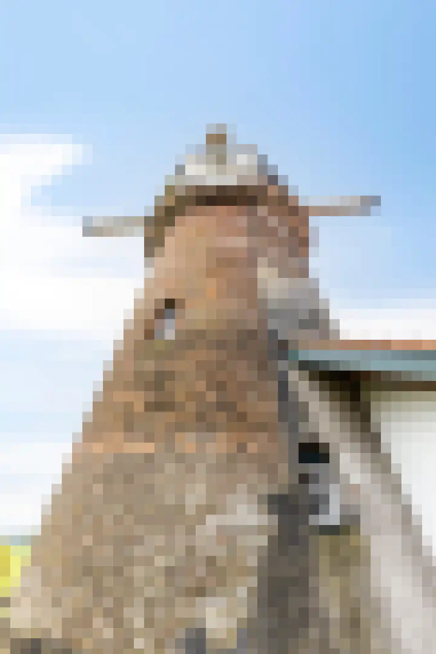 Moleneind 3 Chaam thumbnail 49