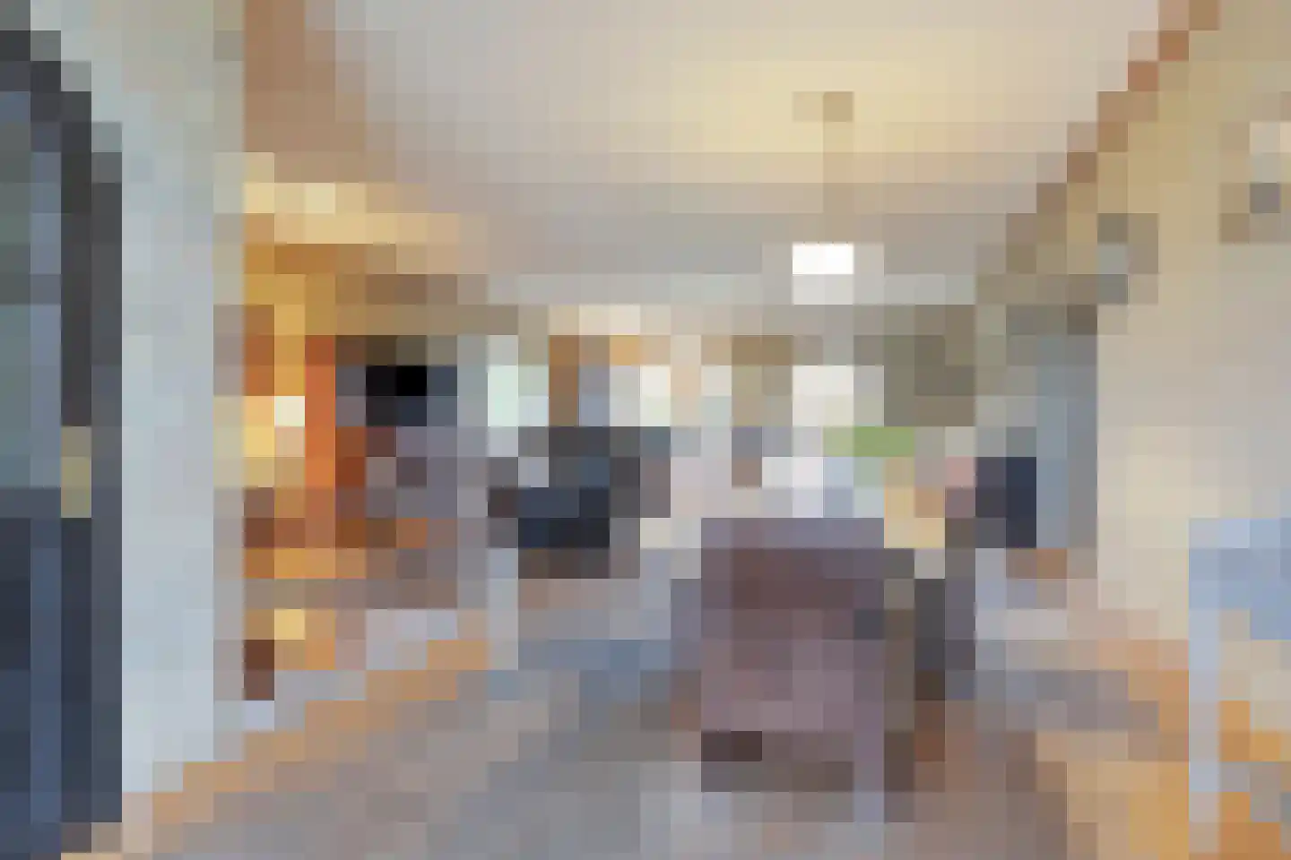 Moleneind 3 Chaam thumbnail 8