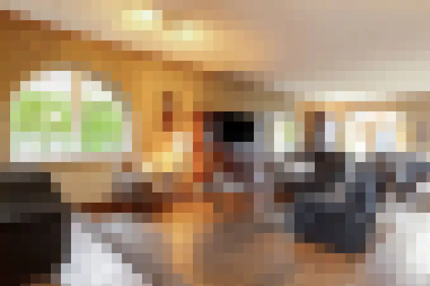 Moleneind 3 Chaam thumbnail 9