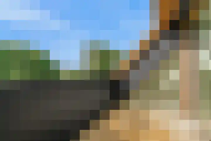 Moleneind 3 J Hekelingen thumbnail 5