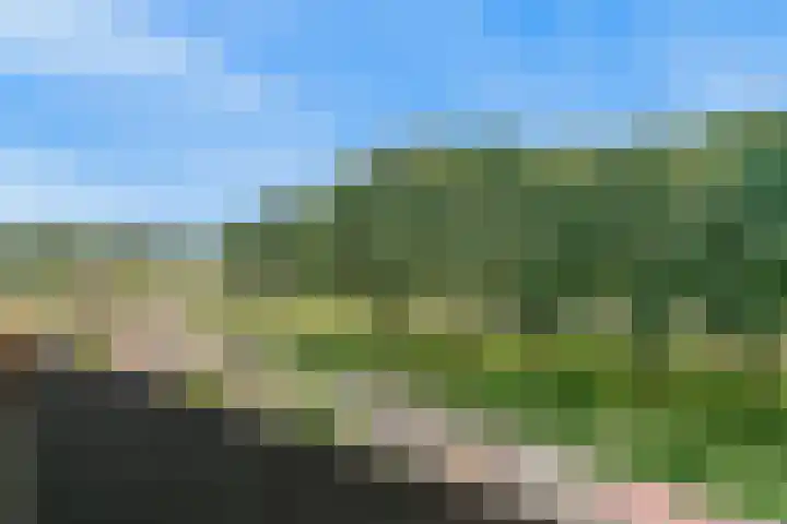 Moleneind 3 J Hekelingen thumbnail 6