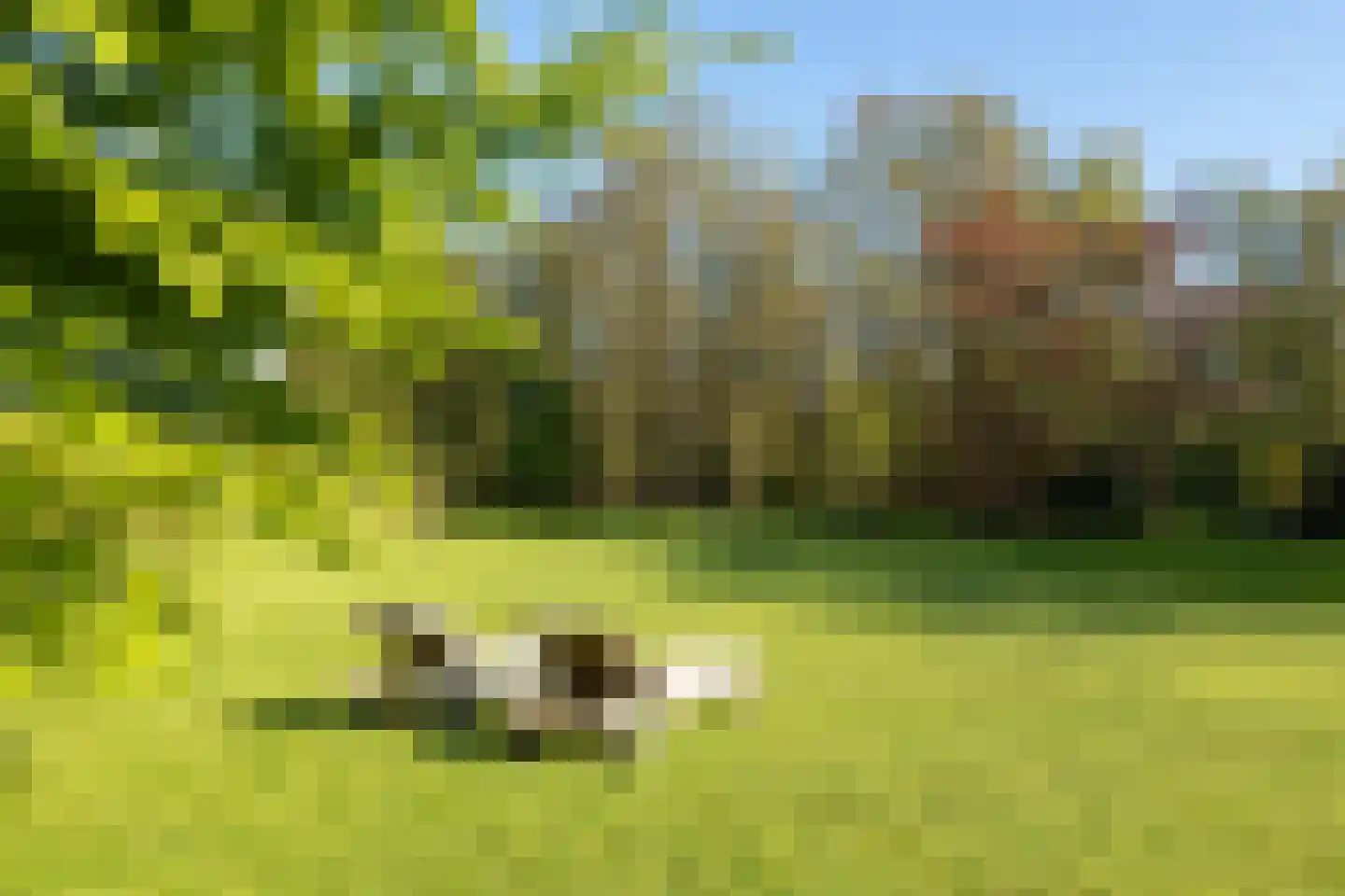 Moleneind 32 Kortenhoef thumbnail 21