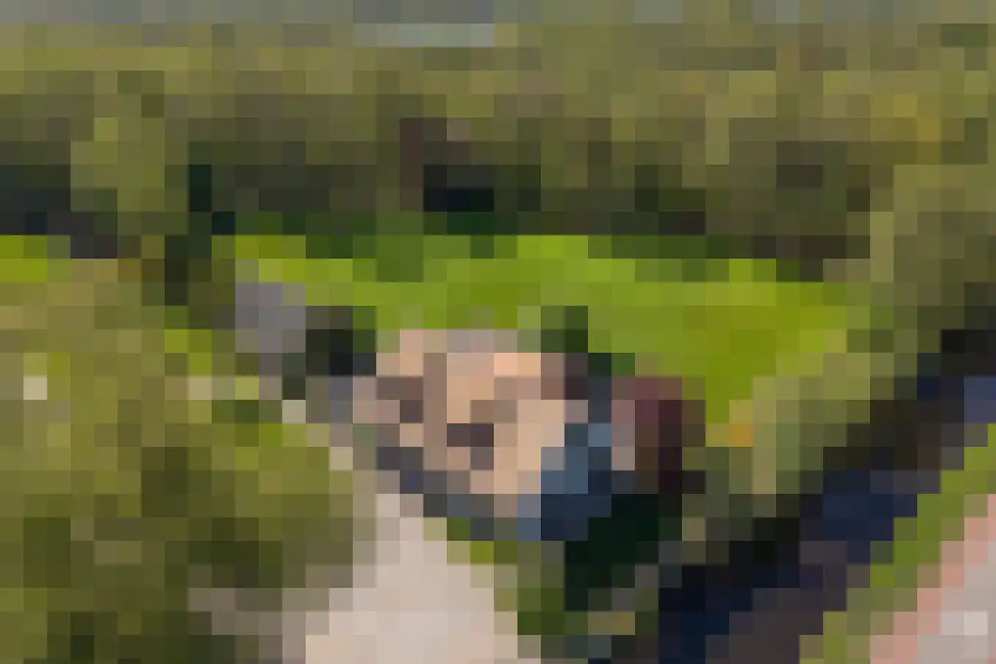 Moleneind 32 Kortenhoef thumbnail 4