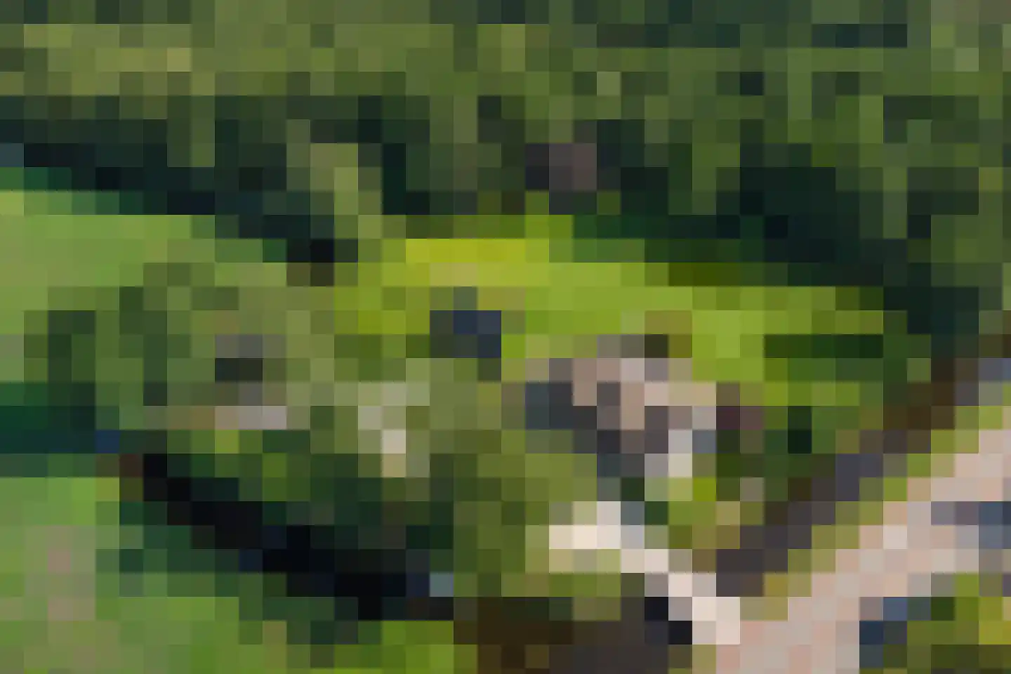 Moleneind 32 Kortenhoef thumbnail 4