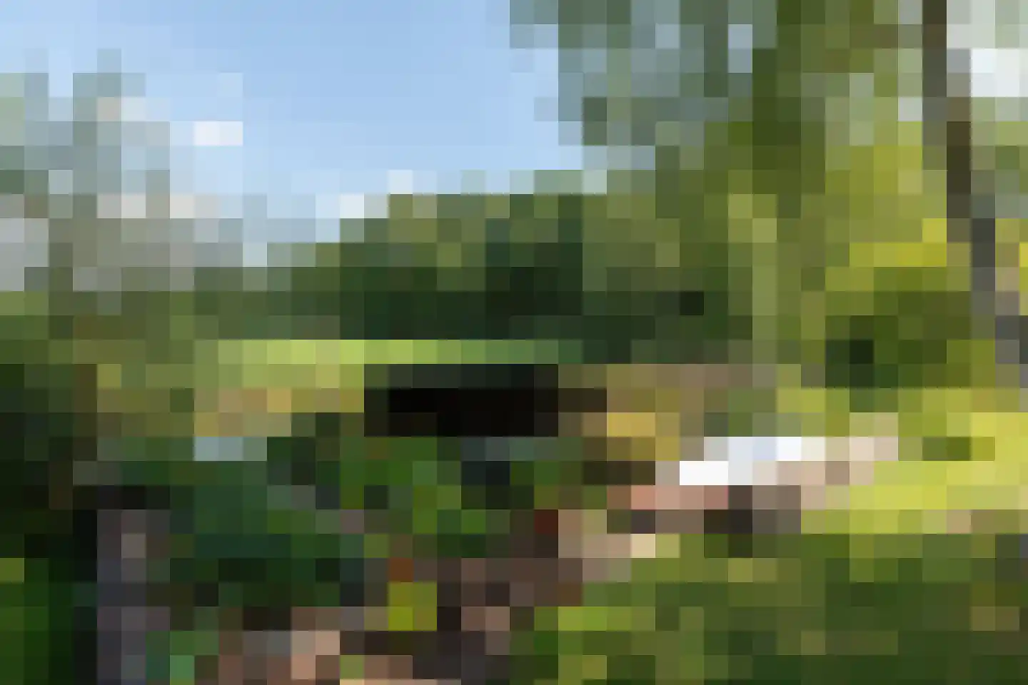 Moleneind 32 Kortenhoef thumbnail 49