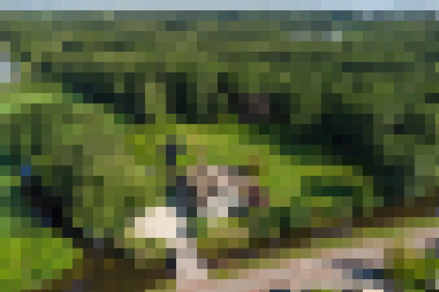 Moleneind 32 Kortenhoef thumbnail 5