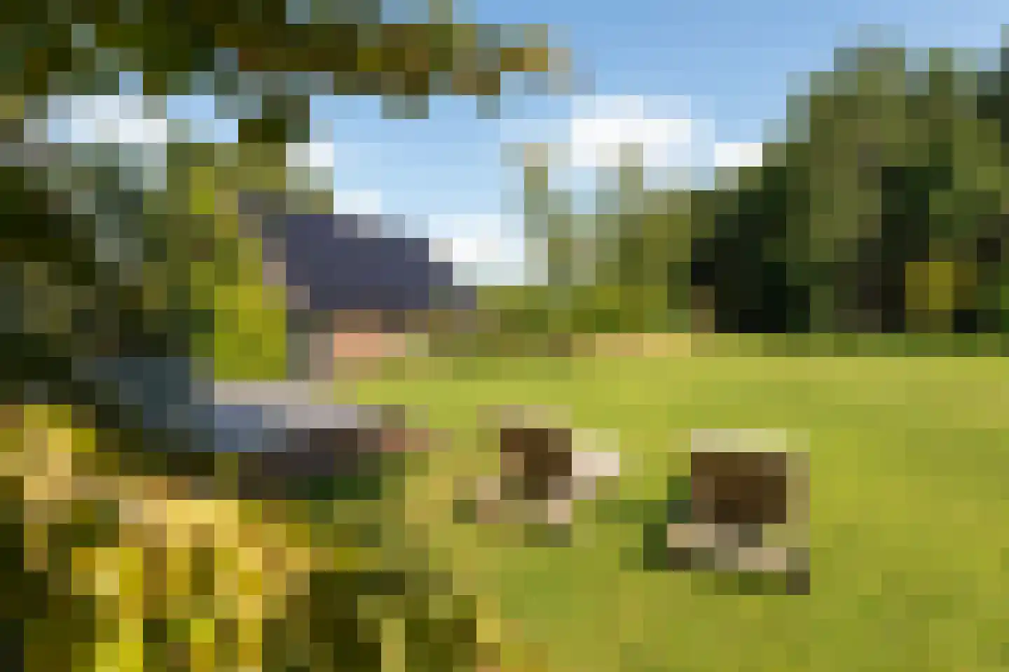 Moleneind 32 Kortenhoef thumbnail 50