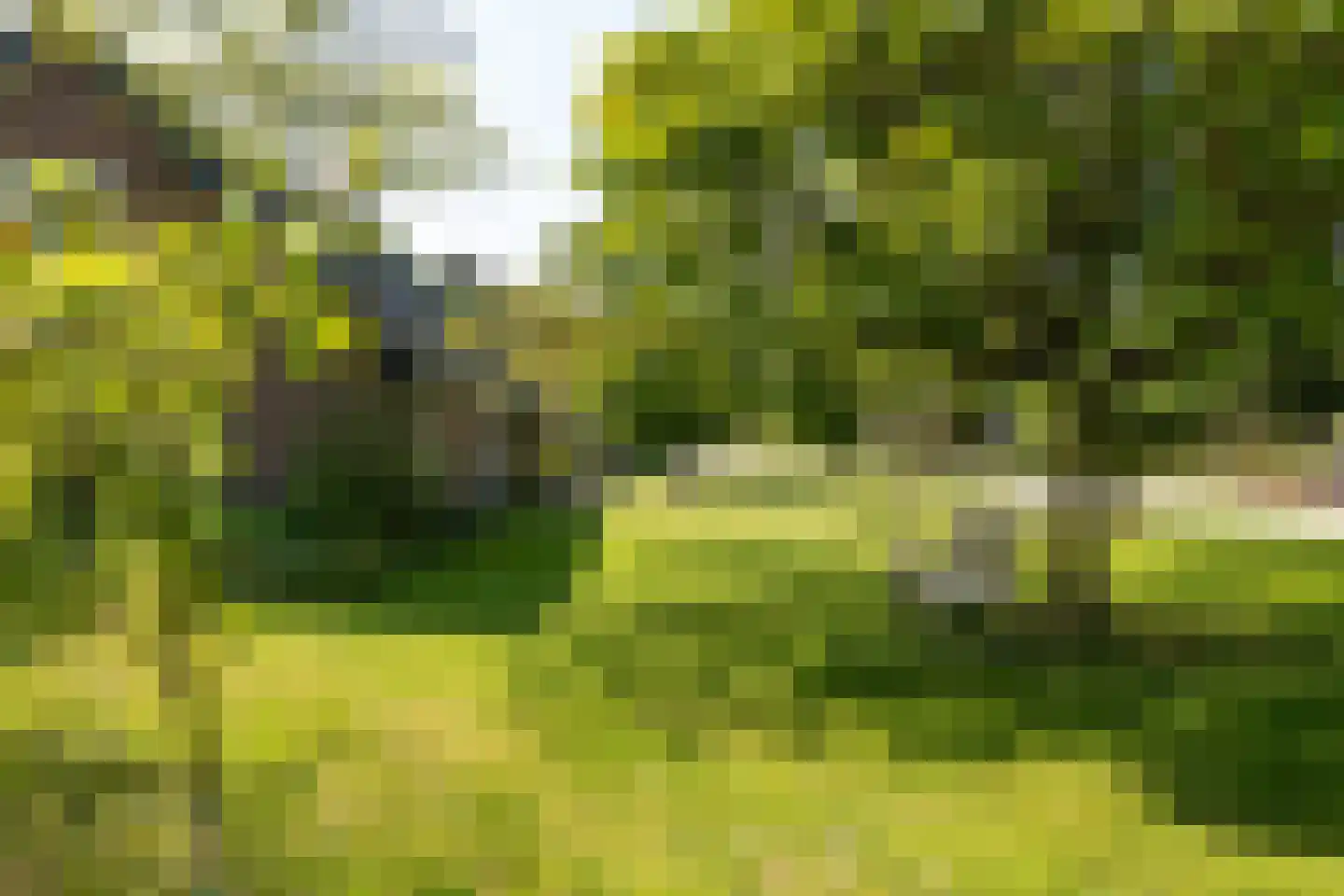 Moleneind 32 Kortenhoef thumbnail 51