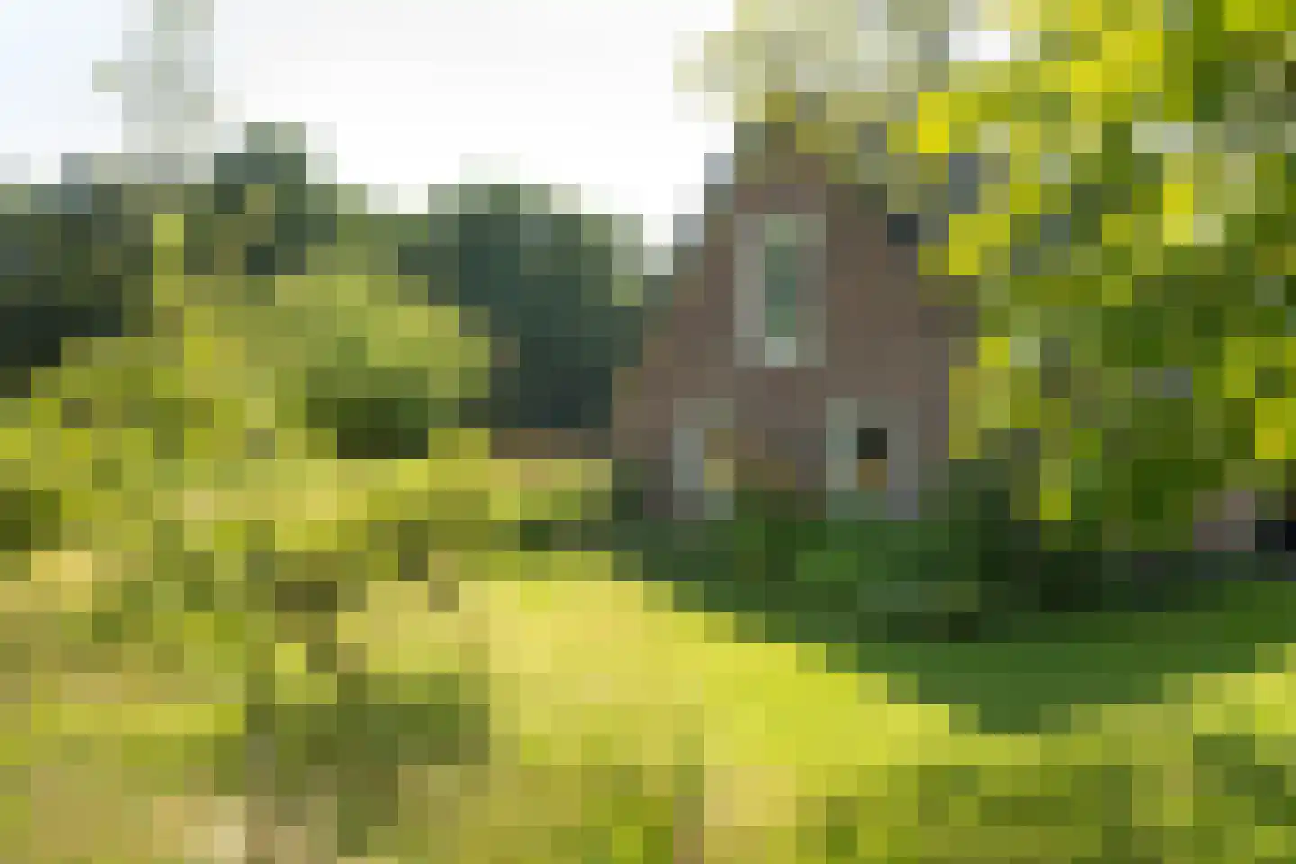 Moleneind 32 Kortenhoef thumbnail 52