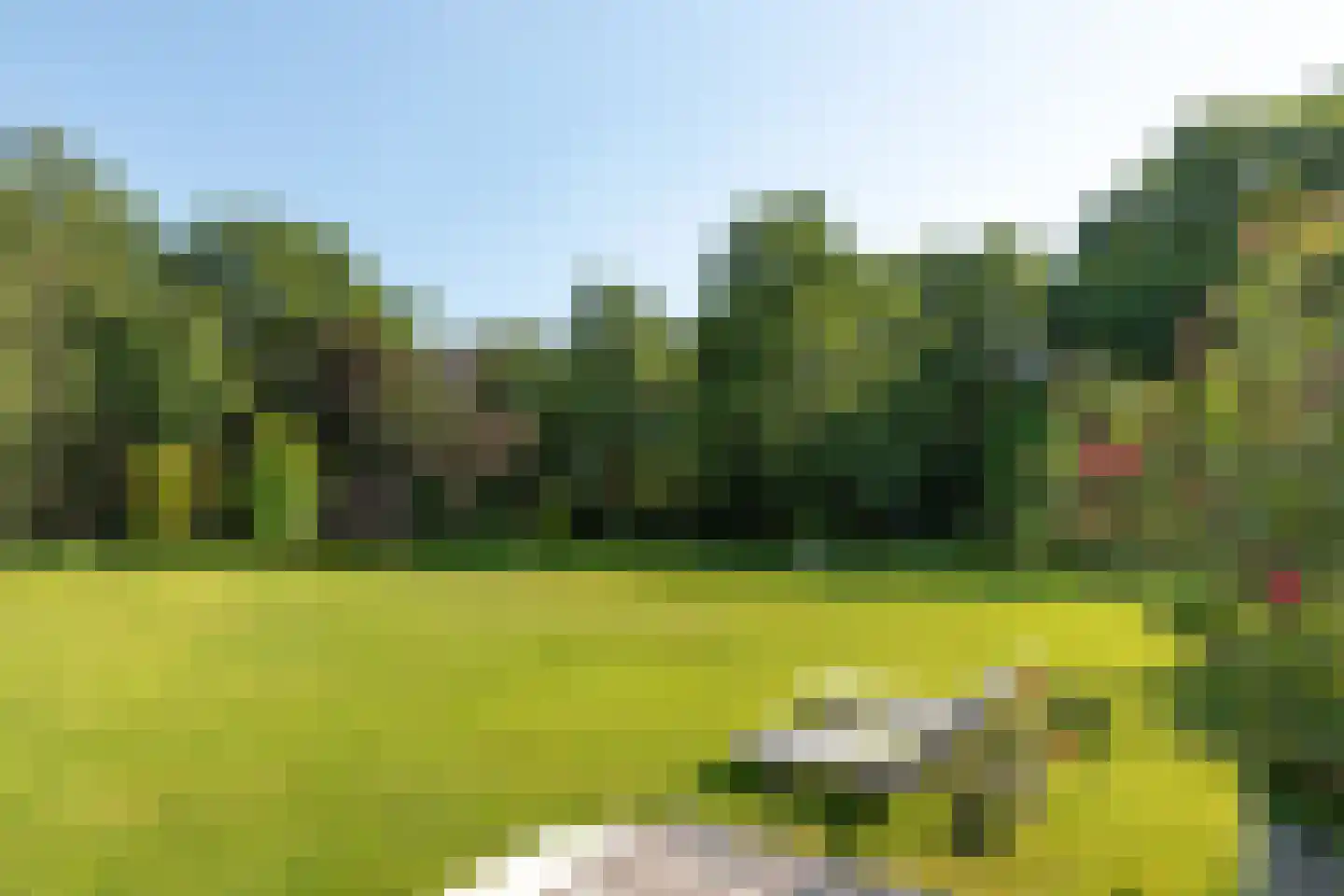 Moleneind 32 Kortenhoef thumbnail 55