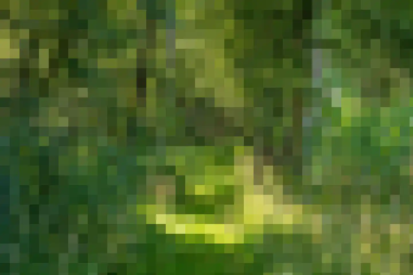 Moleneind 32 Kortenhoef thumbnail 56