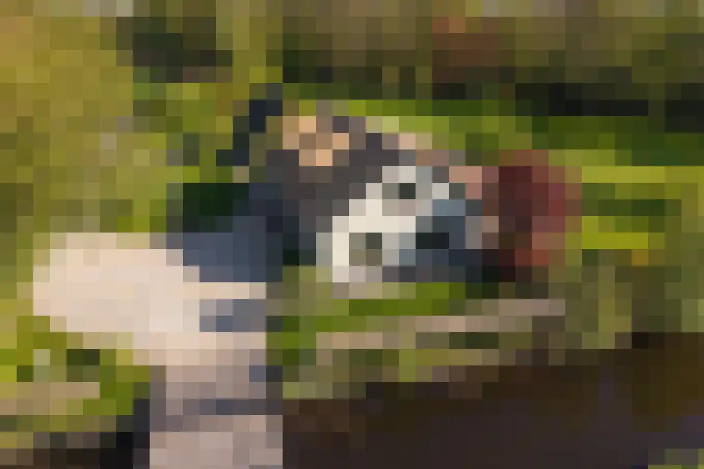 Moleneind 32 Kortenhoef thumbnail 58