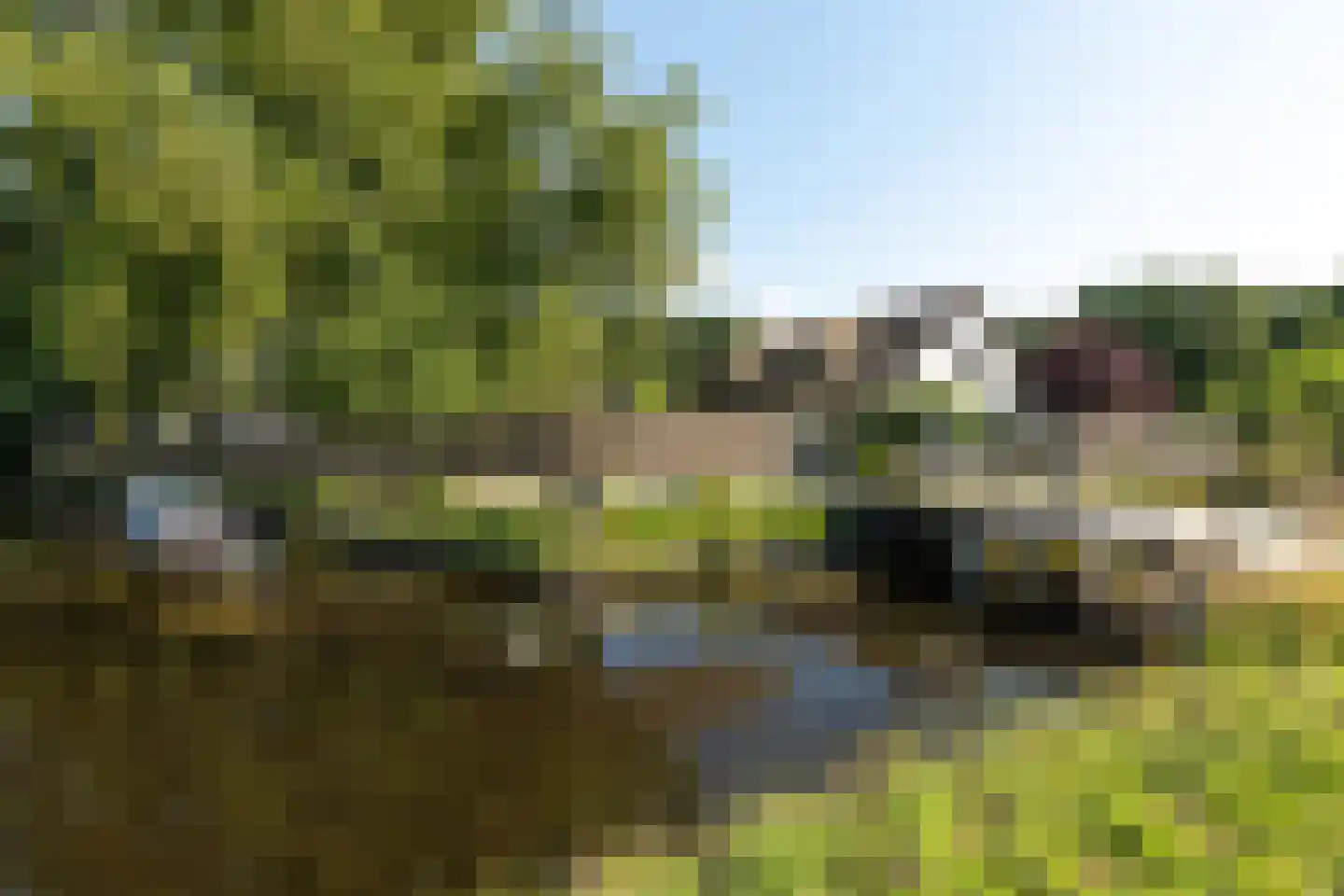 Moleneind 32 Kortenhoef thumbnail 59