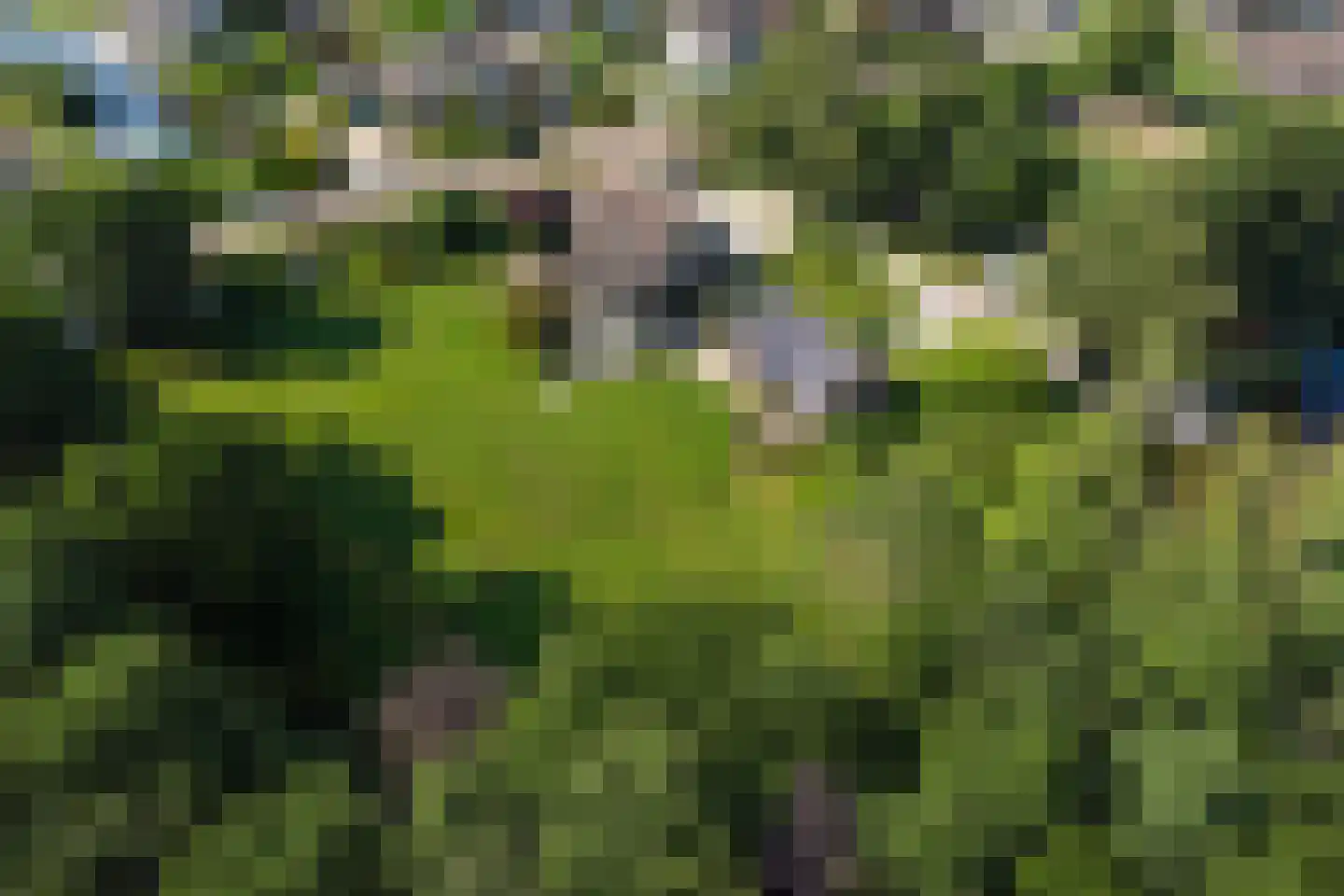 Moleneind 32 Kortenhoef thumbnail 60