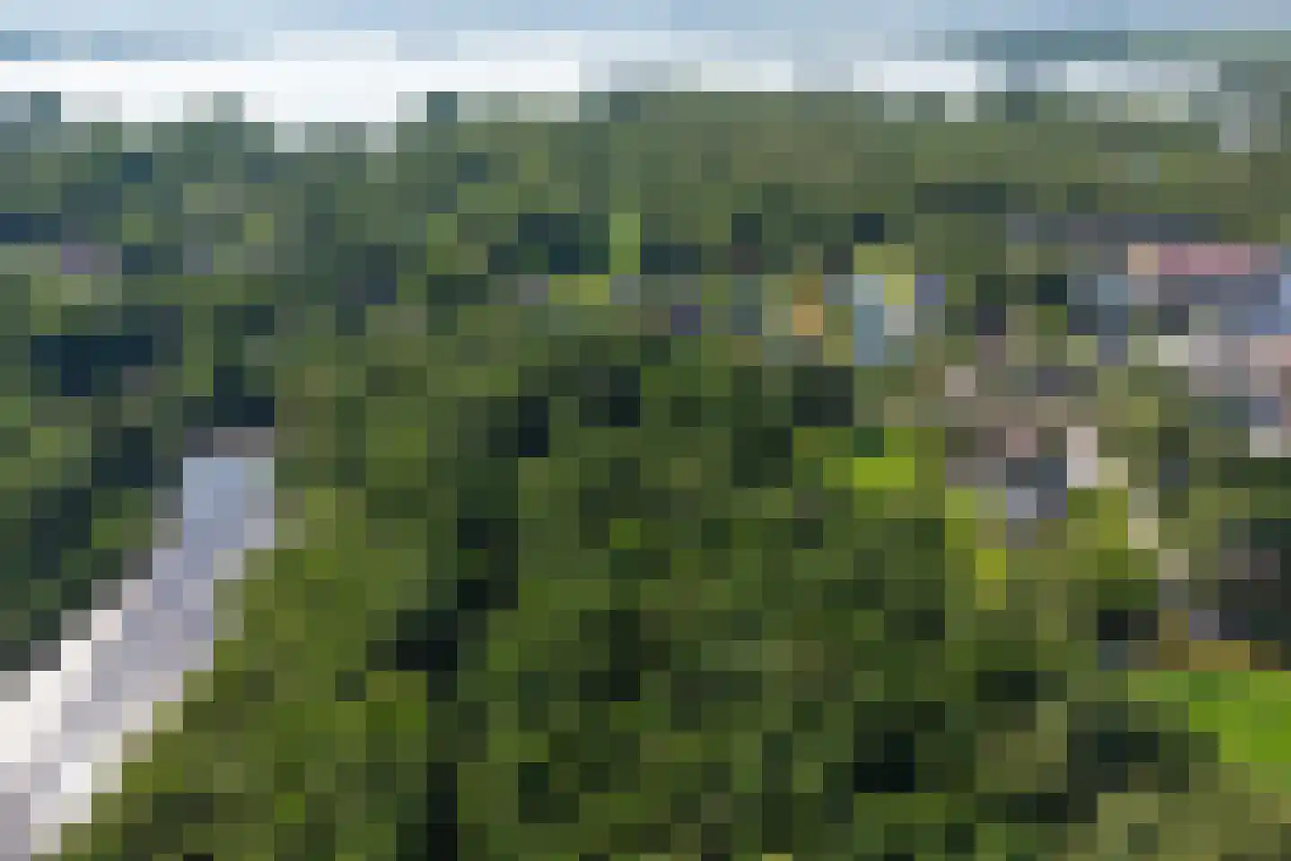 Moleneind 32 Kortenhoef thumbnail 61