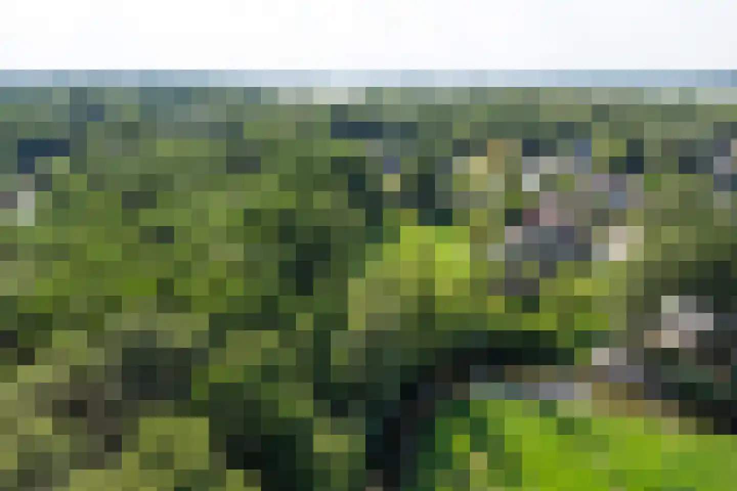 Moleneind 32 Kortenhoef thumbnail 62