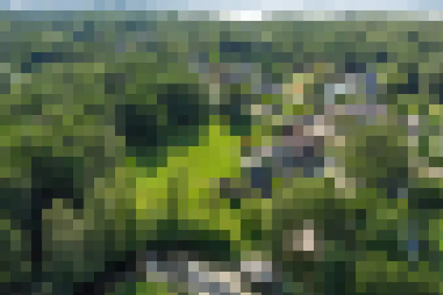 Moleneind 32 Kortenhoef thumbnail 63