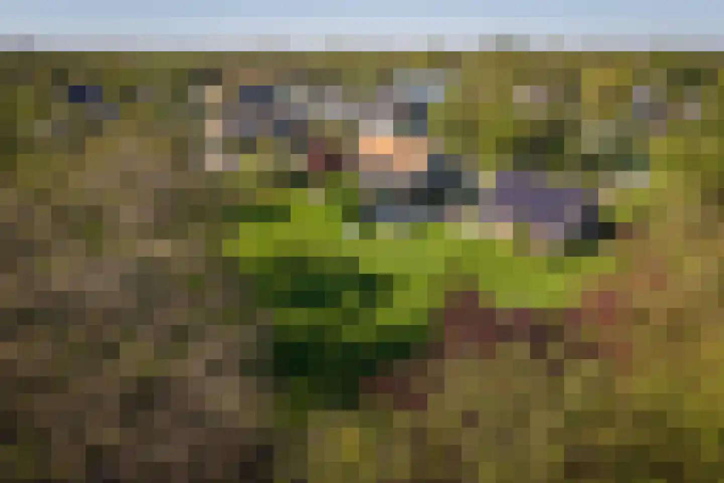 Moleneind 32 Kortenhoef thumbnail 63
