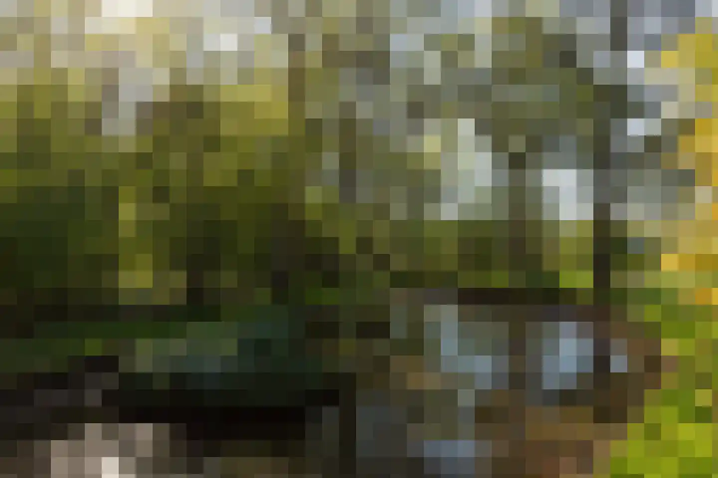 Moleneind 32 Kortenhoef thumbnail 64