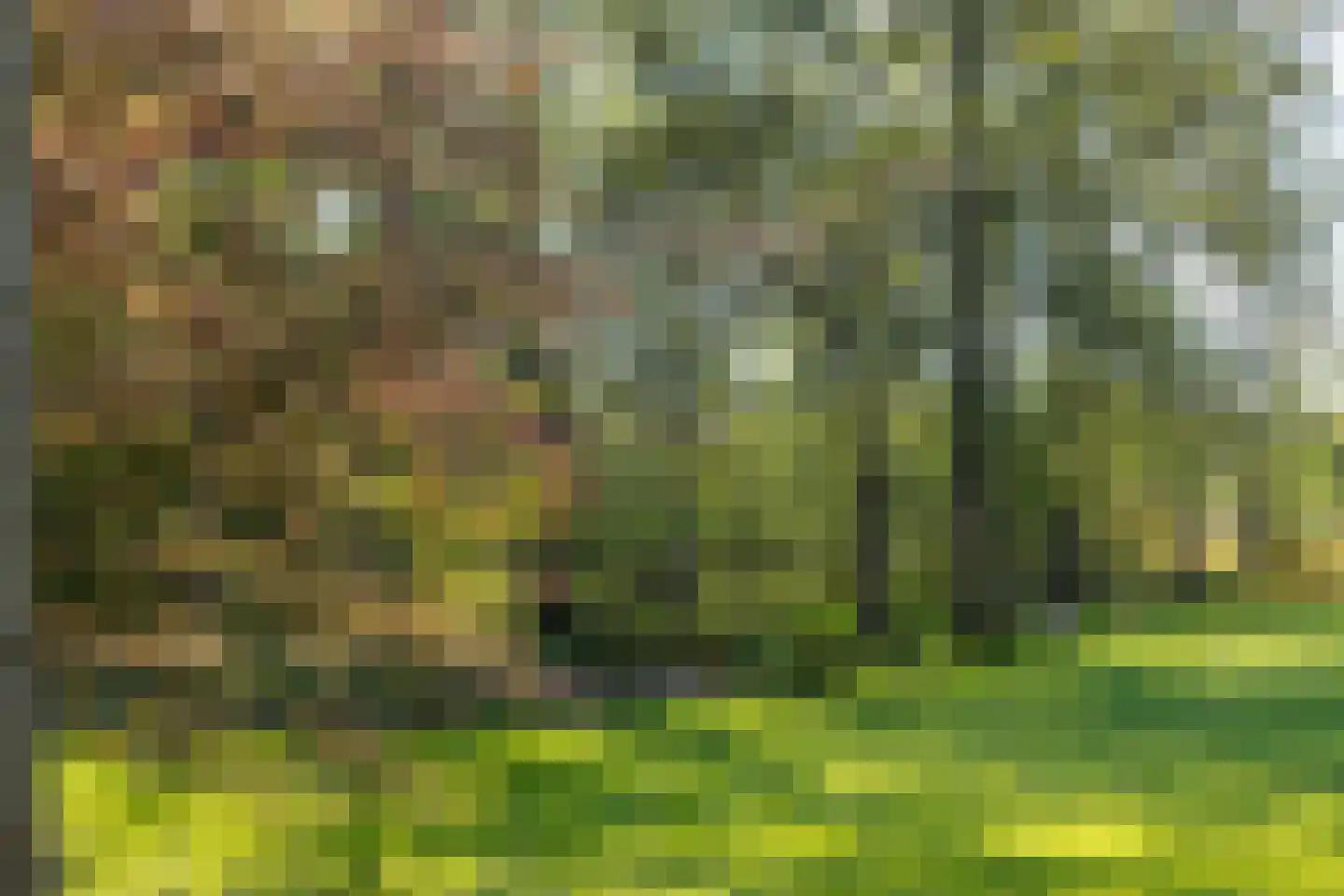 Moleneind 32 Kortenhoef thumbnail 65