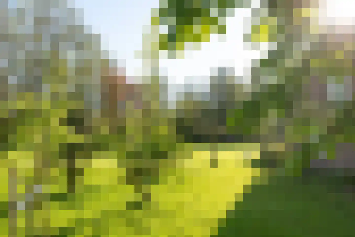Moleneind 32 Kortenhoef thumbnail 66