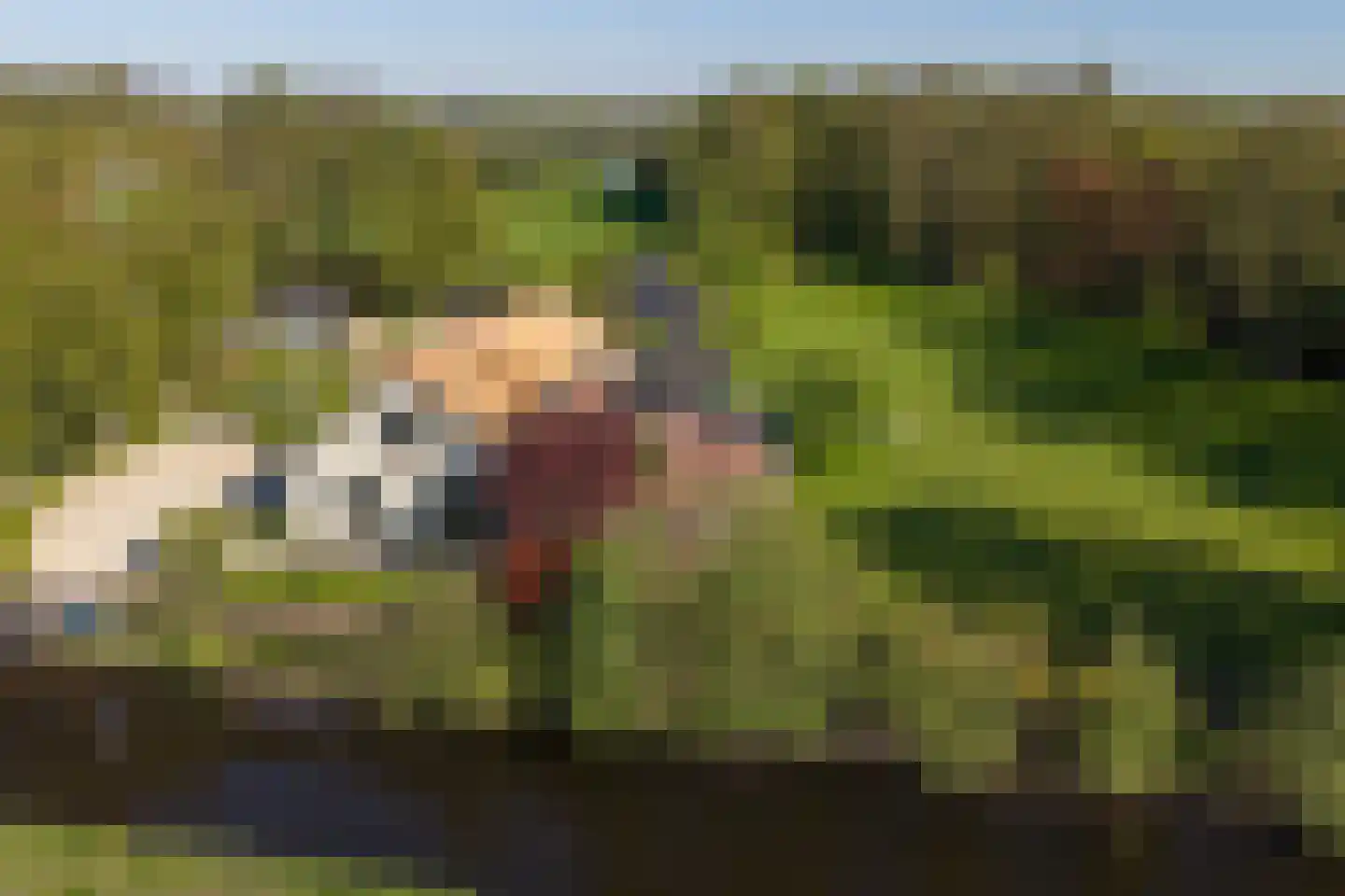 Moleneind 32 Kortenhoef thumbnail 67