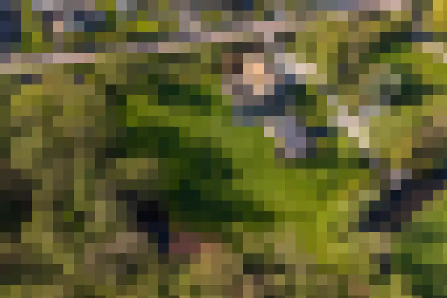 Moleneind 32 Kortenhoef thumbnail 70