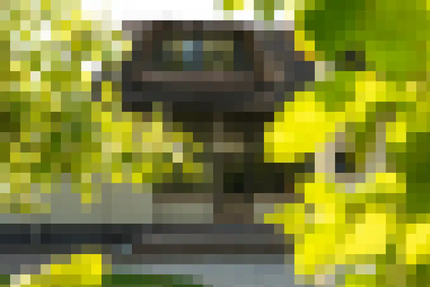 Moleneind 32 Kortenhoef thumbnail 9
