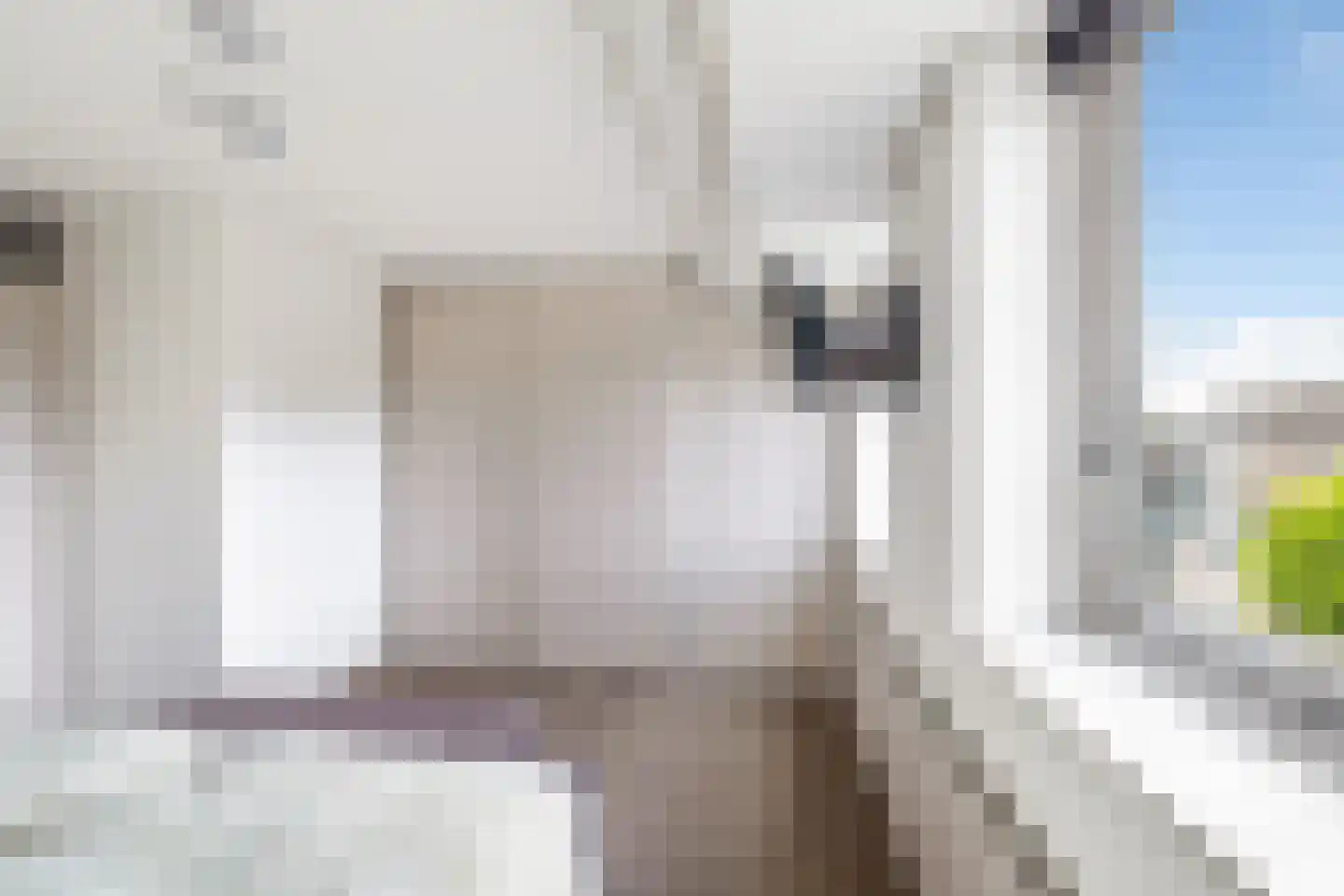 Moleneind 35 Prinsenbeek thumbnail 29