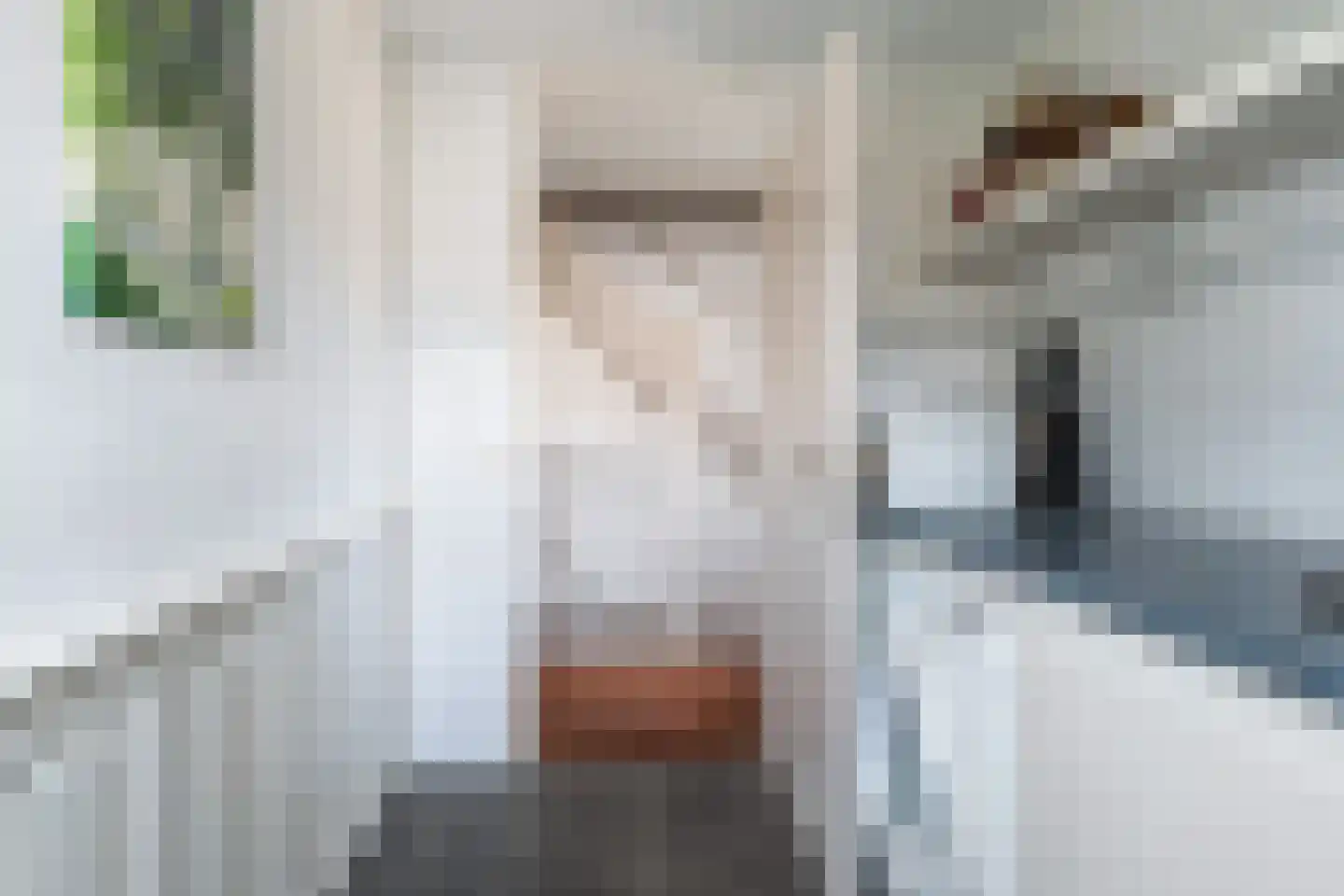 Moleneind 35 Prinsenbeek thumbnail 33