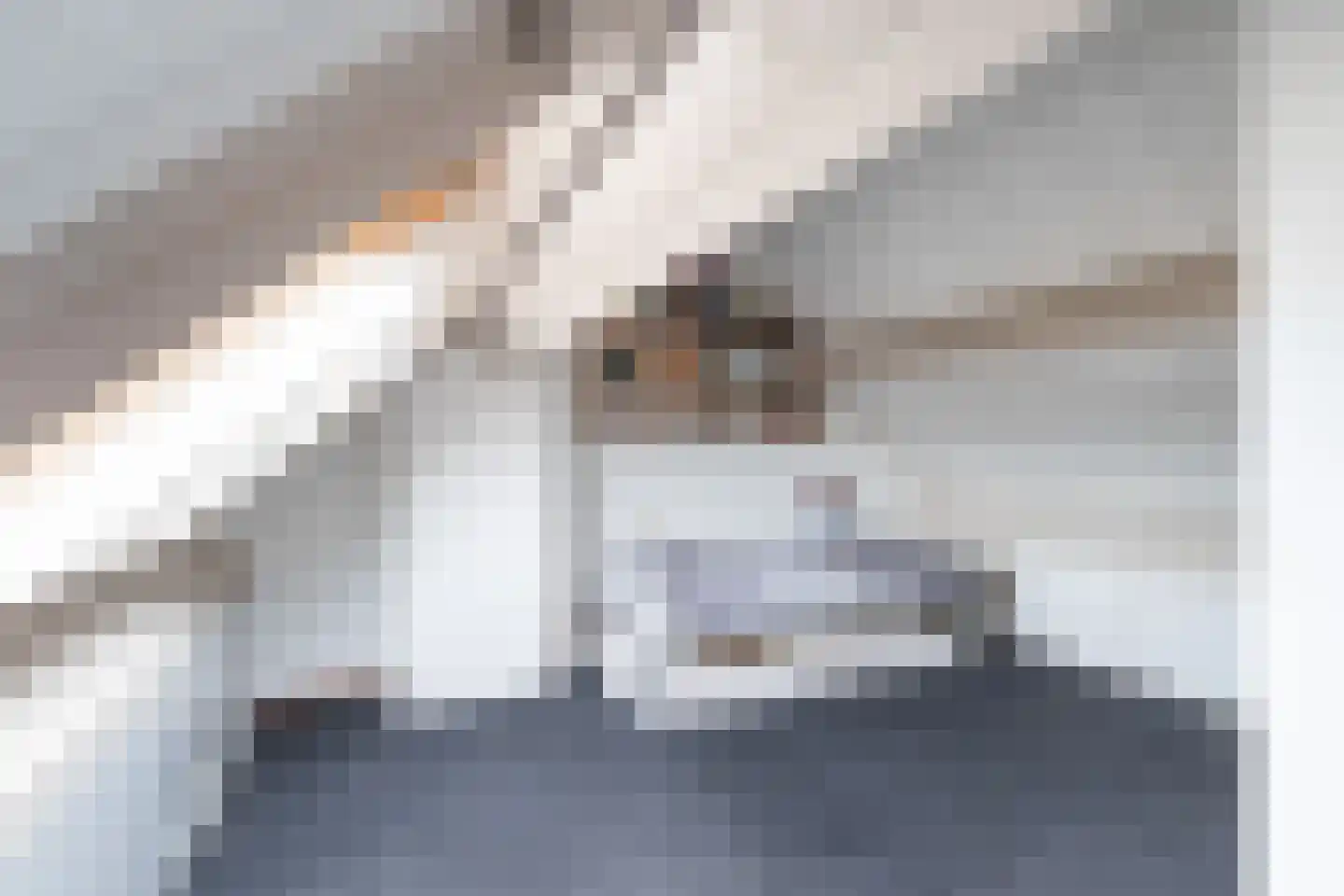 Moleneind 35 Prinsenbeek thumbnail 38