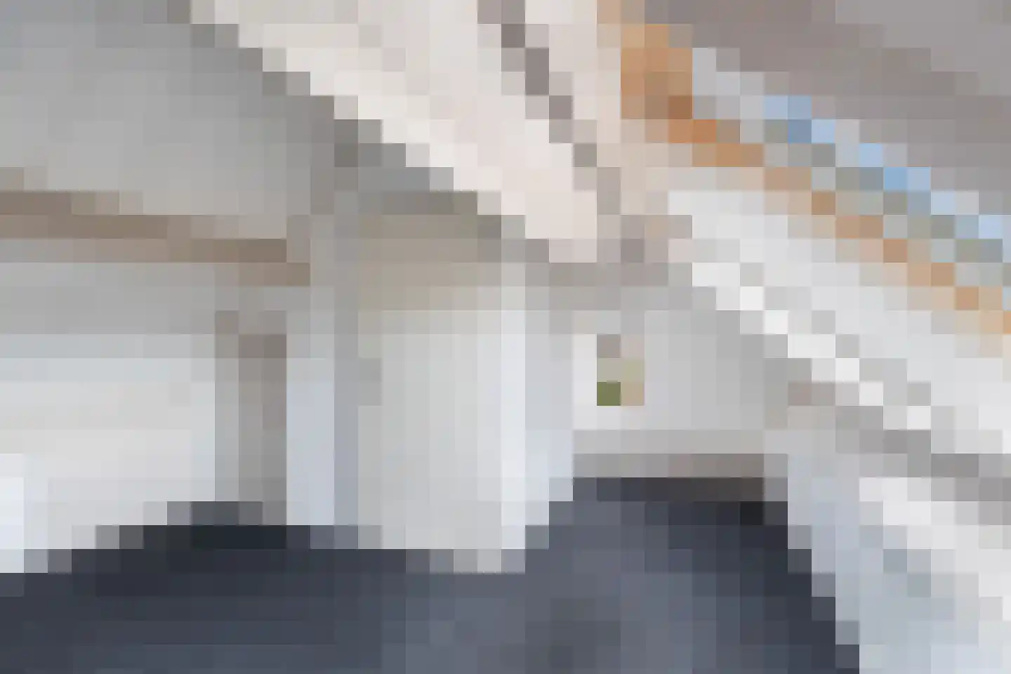 Moleneind 35 Prinsenbeek thumbnail 39