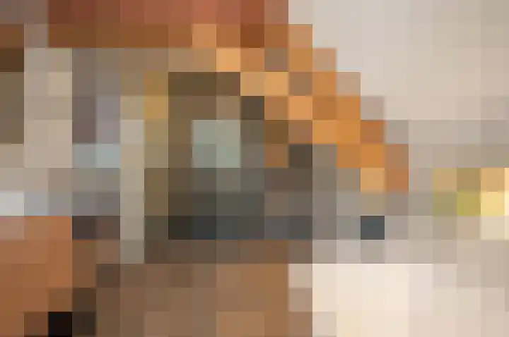 Moleneind 35 Rijnsburg thumbnail 48