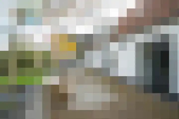 Moleneind 35 Rijnsburg thumbnail 76