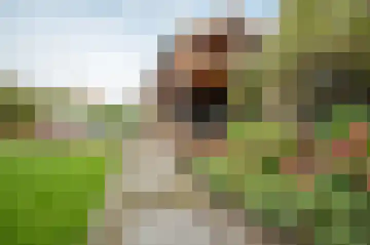Moleneind 35 Rijnsburg thumbnail 78