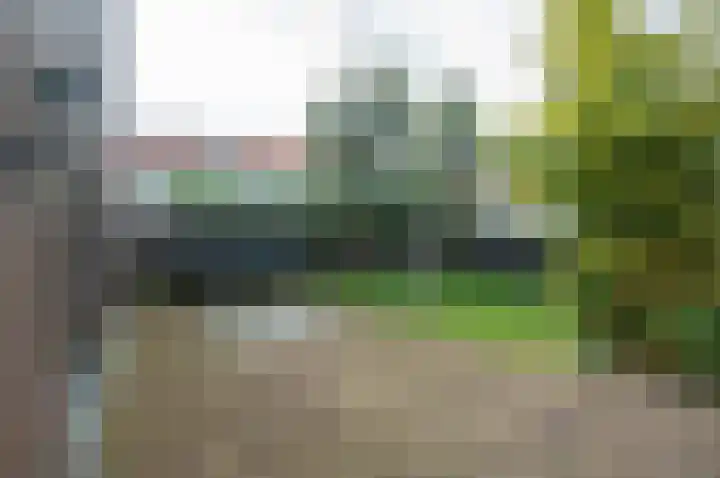 Moleneind 35 Rijnsburg thumbnail 81