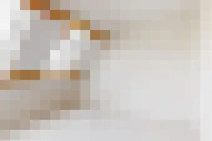 Moleneind 5 H Hekelingen thumbnail 12