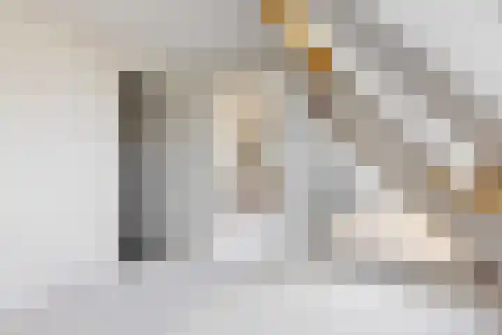 Moleneind 5 H Hekelingen thumbnail 14
